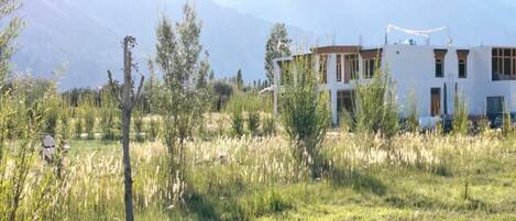 Un edificio moderno con fachada blanca, rodeado por un campo cubierto de césped y vegetación escasa.
