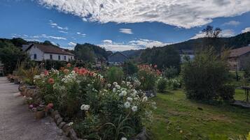 Ländliche Landschaft mit einem Steinweg, der zu einem Haus inmitten eines mit verschiedenen Blumen bepflanzten Gartens führt.