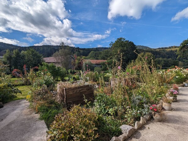 Terrein van de accommodatie