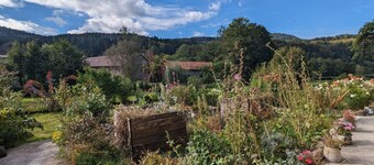 Charming Myosotis Room with Garden and DVD