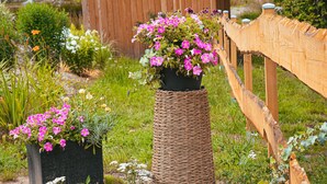 A garden with potted plants and a wooden structure.