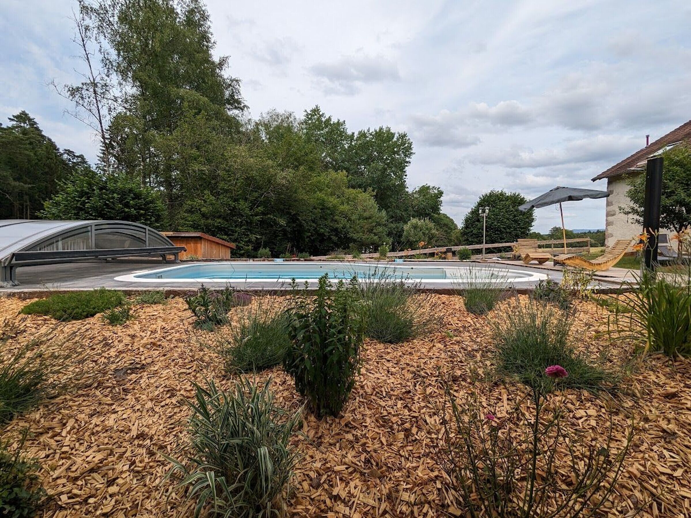 Une piscine entourée d’un jardin aménagé, agrémenté de paillis, de plantes et de chaises longues en bois.