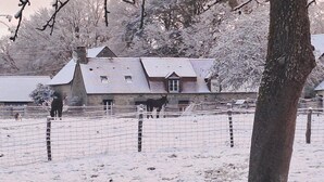 A snow-covered landscape with a wooden house and a fenced area. - Charming renovated house in Domfront, pets allowed, wifi, near cycling routes (Domfront en Poiraie)