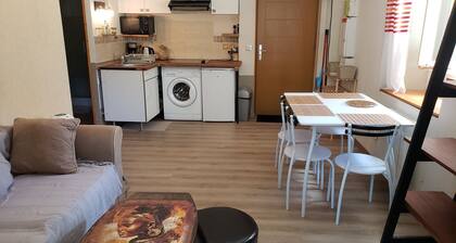 Cozy apartment in town center, near slopes, sleeps 4