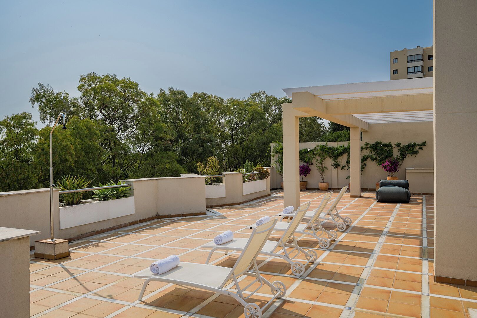 Une terrasse sur le toit, avec des chaises longues et des plantes en pot.