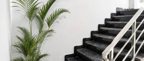 A staircase with a metal railing, a potted plant, and a white wall.