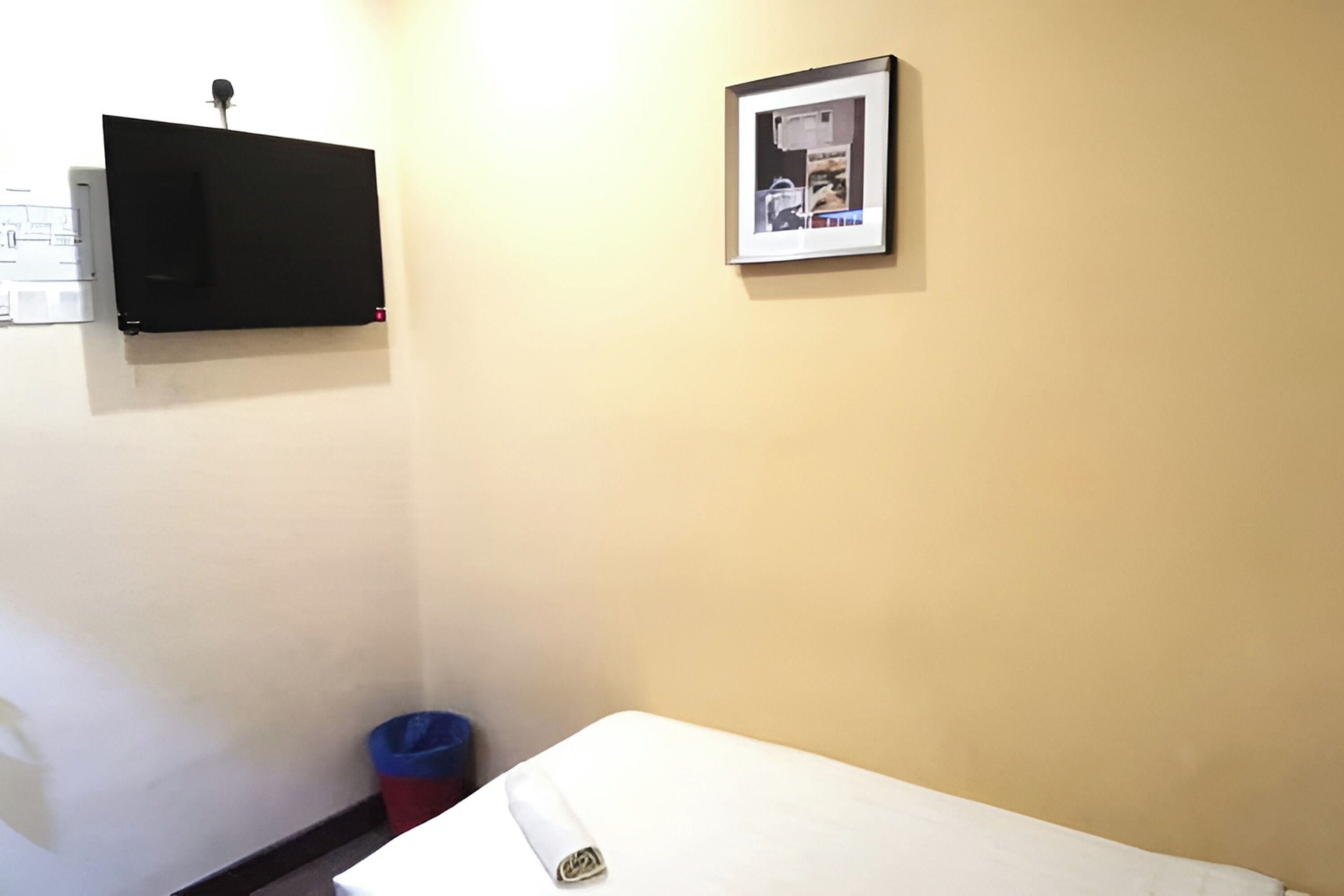 Een kamer met een bed, een tv aan de muur, een lijst met een afbeelding en een prullenbak.