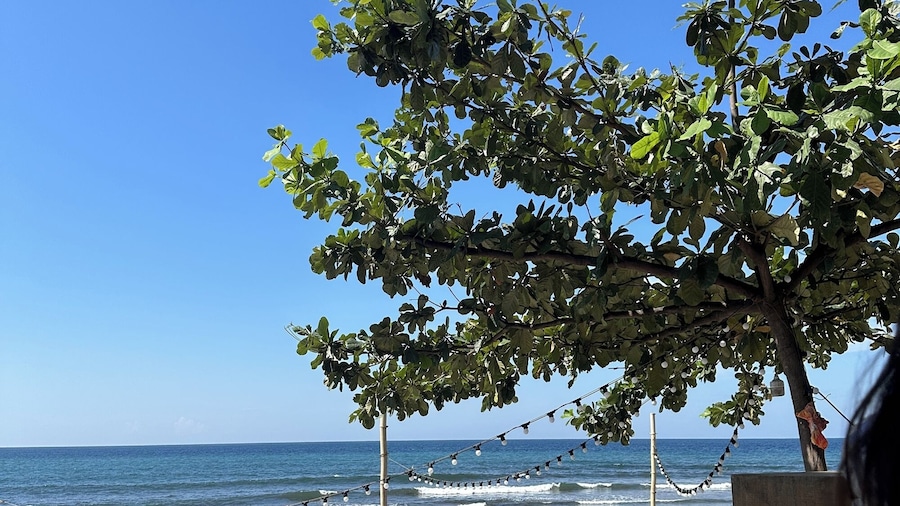 Monaliza Surf Resort