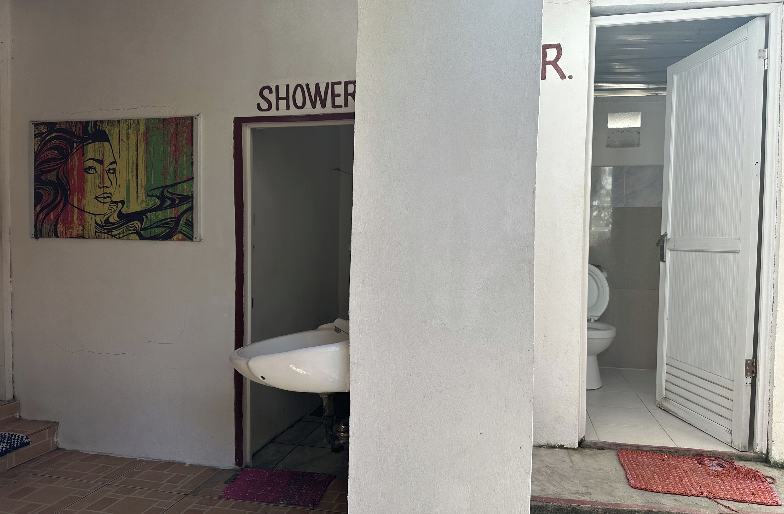 Un baño con un lavabo blanco, zona de ducha y un inodoro. Hay un cuadro de colores en la pared y una alfombra en el suelo.