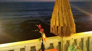 Un balcón con vista al océano, una sombrilla de paja y una mesa con una botella y flores.
