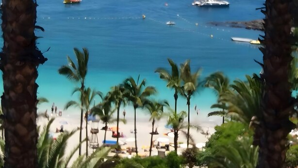 Una playa con barcos, palmeras y cielo despejado.
