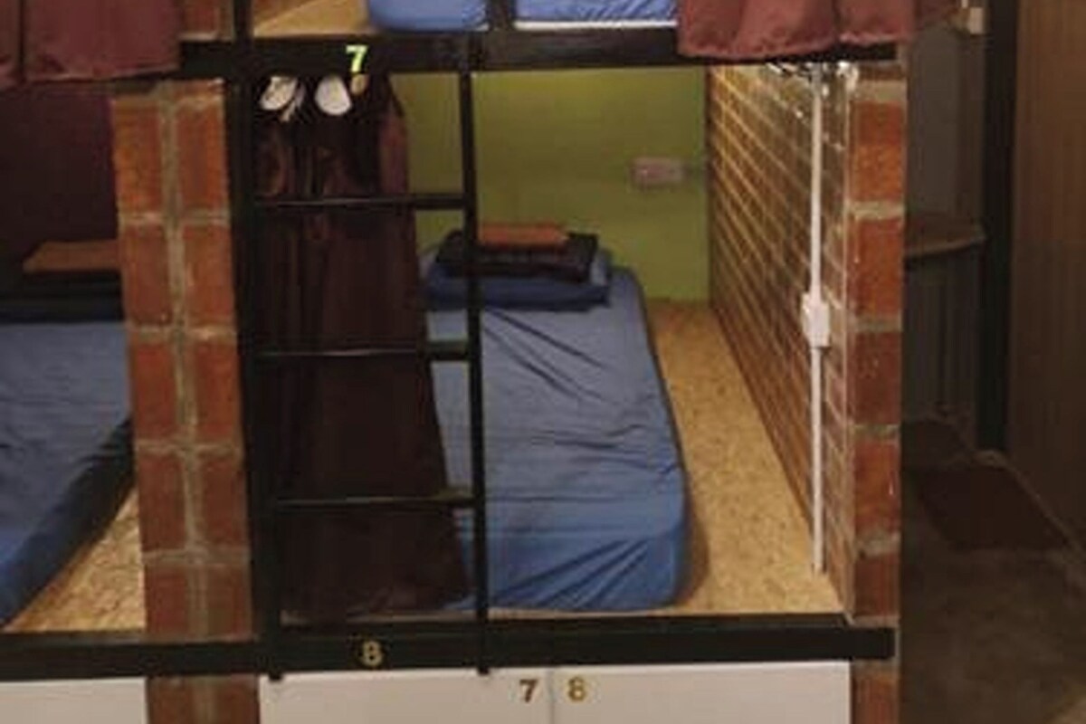 A bunk bed room with green walls and a brick accent wall.