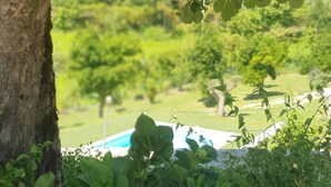 A pool surrounded by lush greenery and trees. - Studio Apartment 'Quinta Do Bairro -' with Mountain View, Shared Pool and Wi-Fi (Rossas)