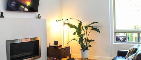 Télévision, cheminée, livres, espaces bureaux