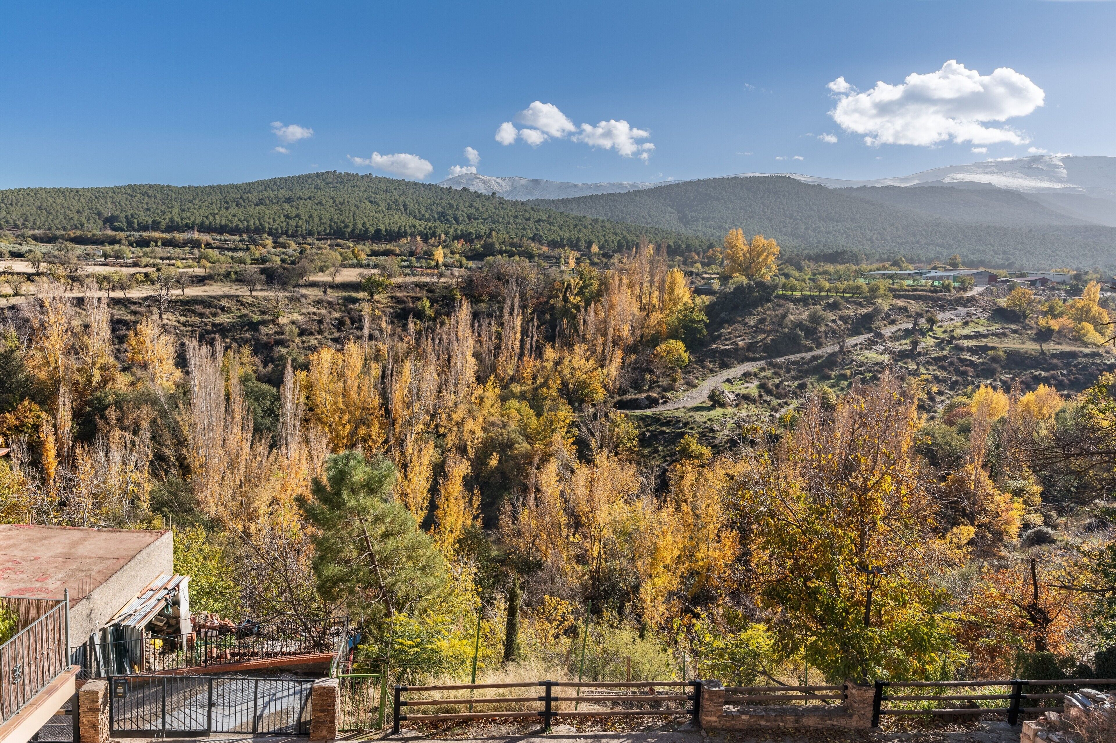 Un paisaje montañoso con follaje otoñal, cielo despejado y una cadena montañosa distante.