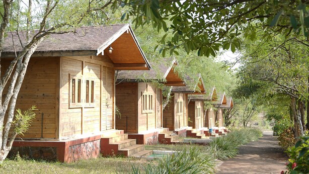 A row of wooden cabins with steps leading up to the entrance, surrounded by greenery. - Rockhill Adventures And Resorts (Roha)