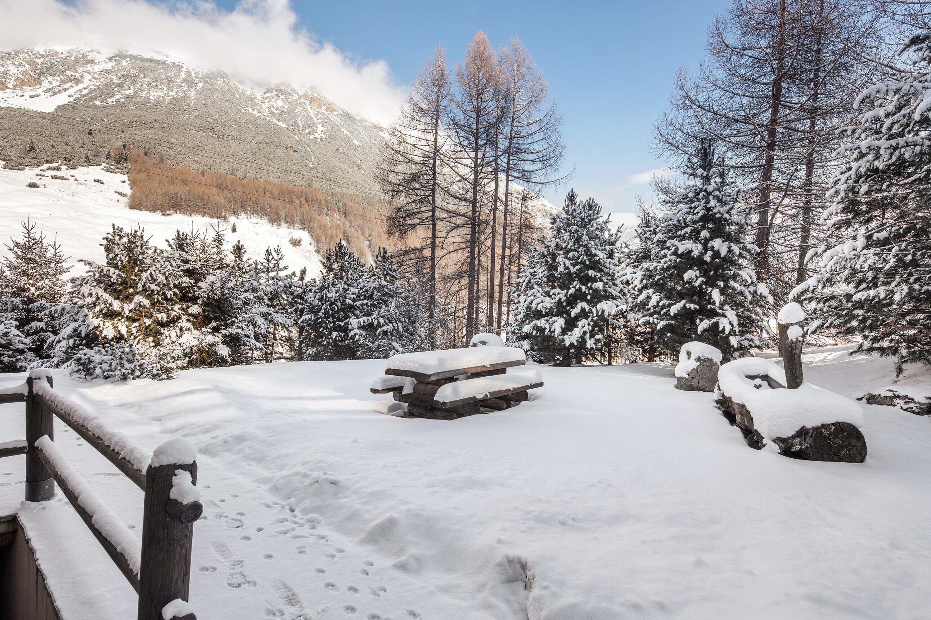 Parco della struttura