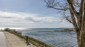 Un sentier pavé longeant un plan d’eau, avec un arbre et une étendue de terre au loin.