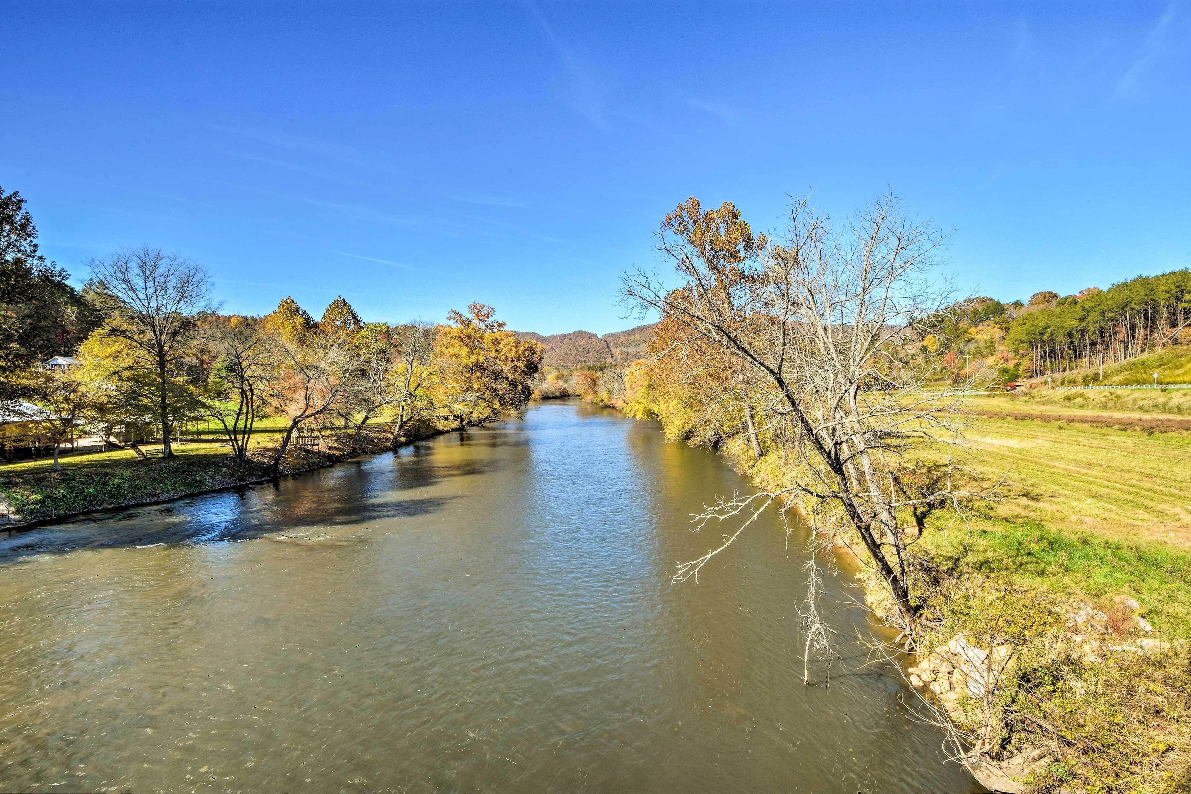 Un río serpentea por un paisaje con árboles y cielo despejado.