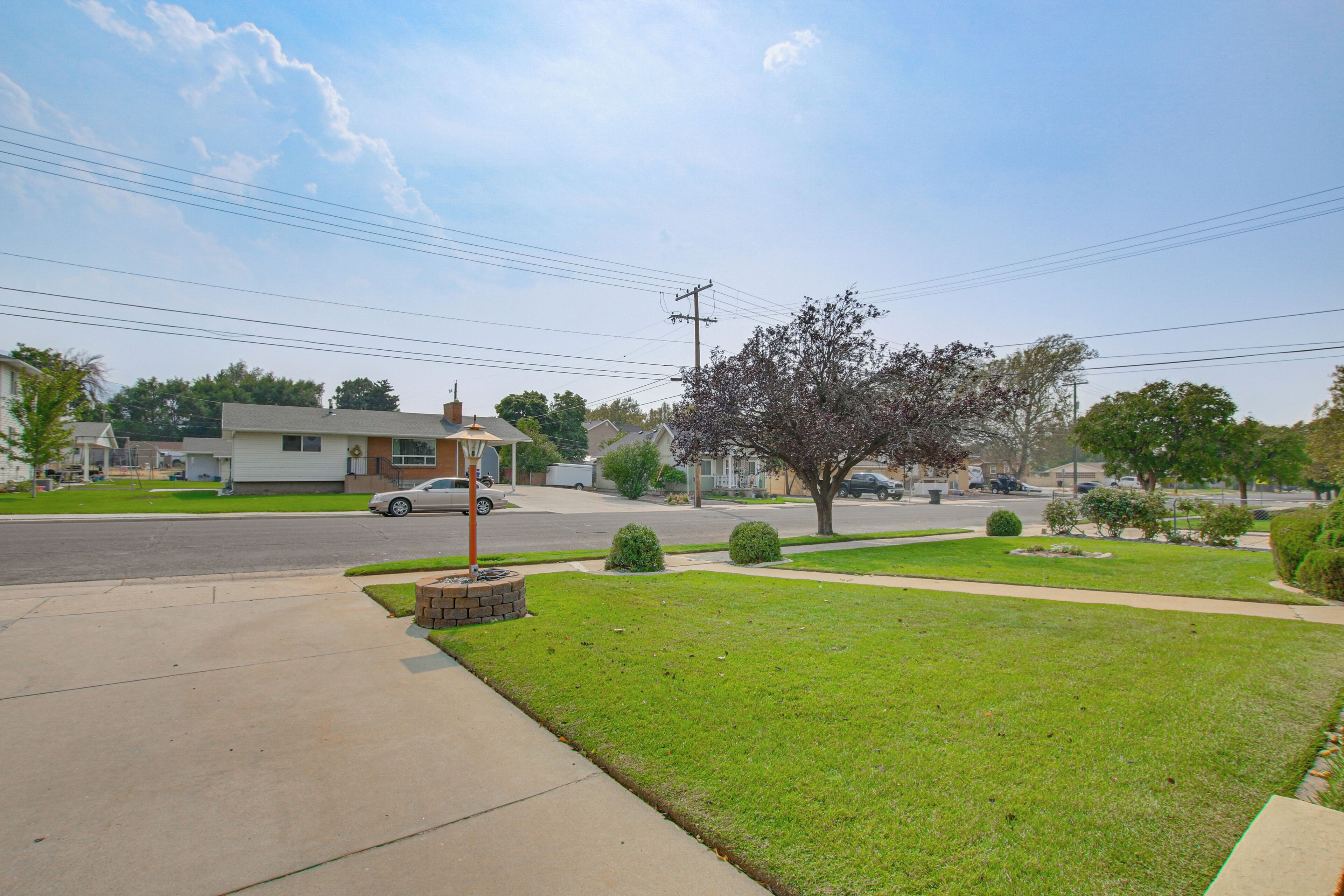 Una calle residencial con casas, aceras y un árbol.