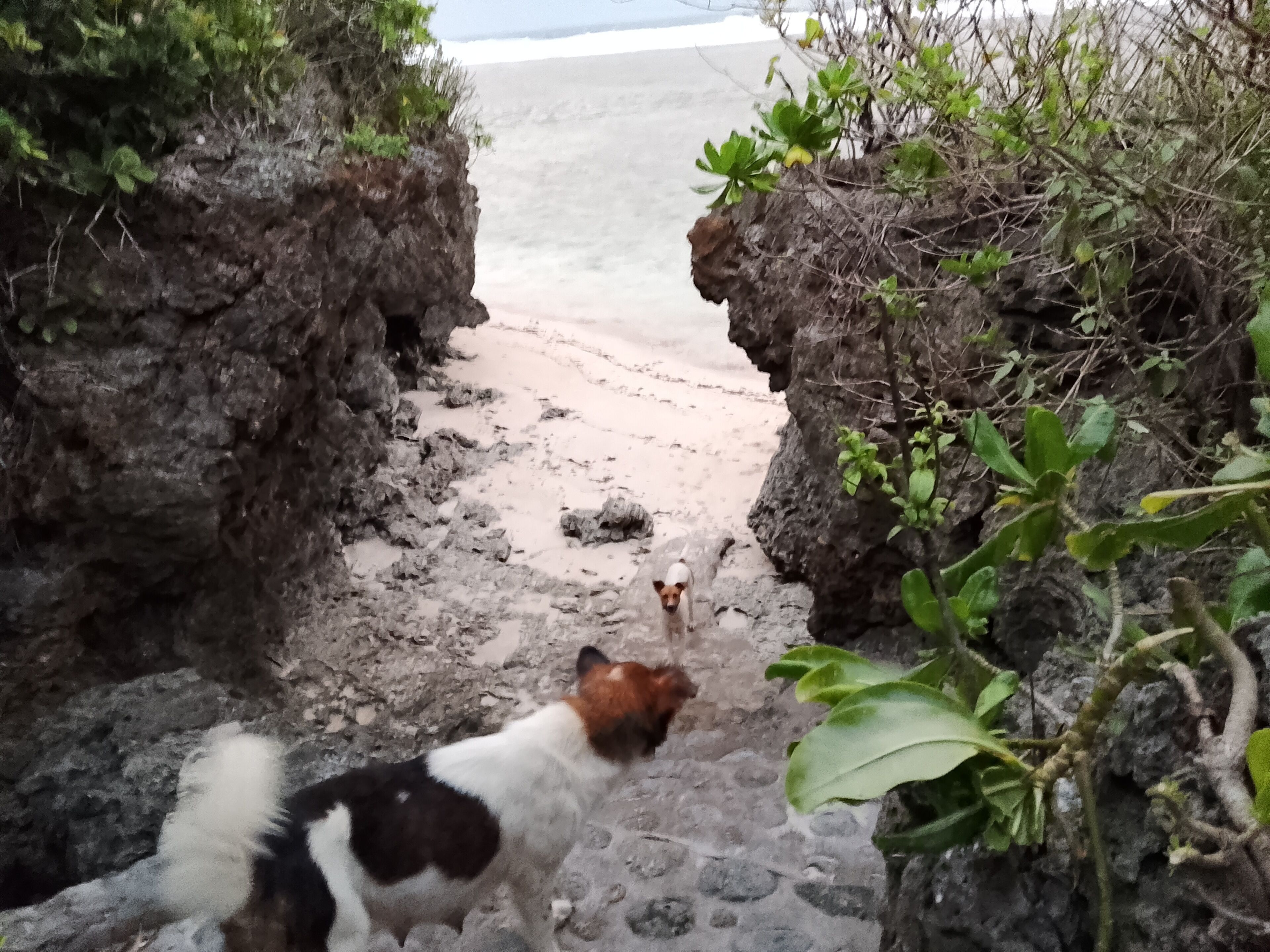 On the beach, white sand