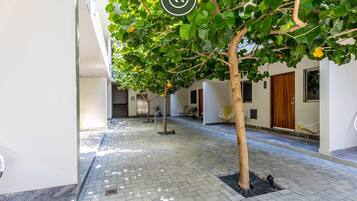 Departamento, con acceso para personas discapacitadas | 1 habitación