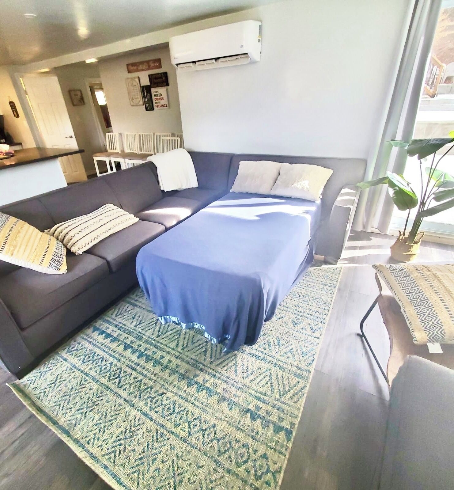 Une chambre d’hôtel moderne avec un canapé-lit, un lit simple, un tapis à motifs et une plante en pot.