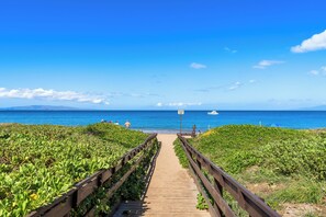 Un muelle de madera que conduce a una playa bordeada de abundante vegetación.