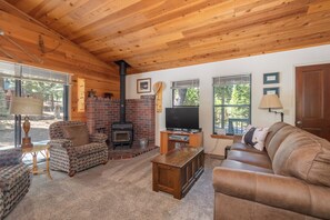 Télévision, cheminée, lecteur de DVD