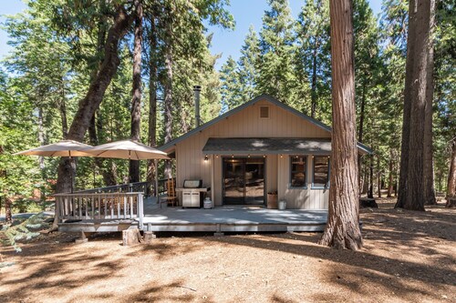Shasky Retreat- Cozy Cabin in Big Trees Village