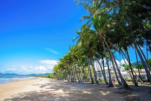 Une plage bordée de palmiers, une étendue de sable et un bâtiment visible au loin.