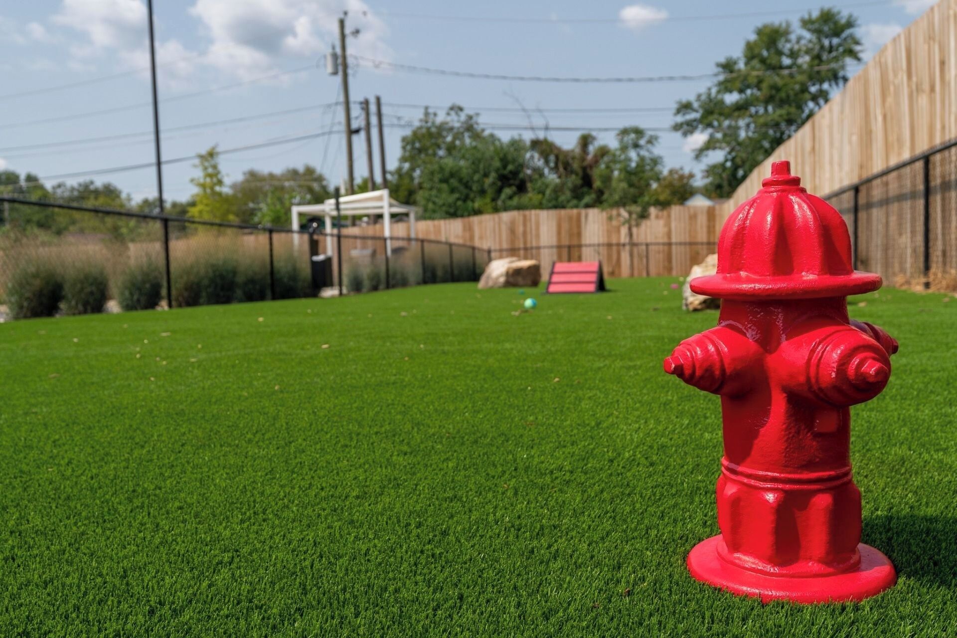A red fire hydrant on artificial grass with a wooden fence and utility poles in the background.