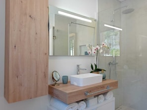 Shower, hair dryer, bidet, towels