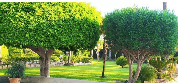 Property grounds - Casa Joan a place to disconnect  (VC)