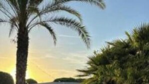 Un jardín cuidado con una palmera, un camino de piedra que lleva a una estructura cubierta y un cielo despejado.