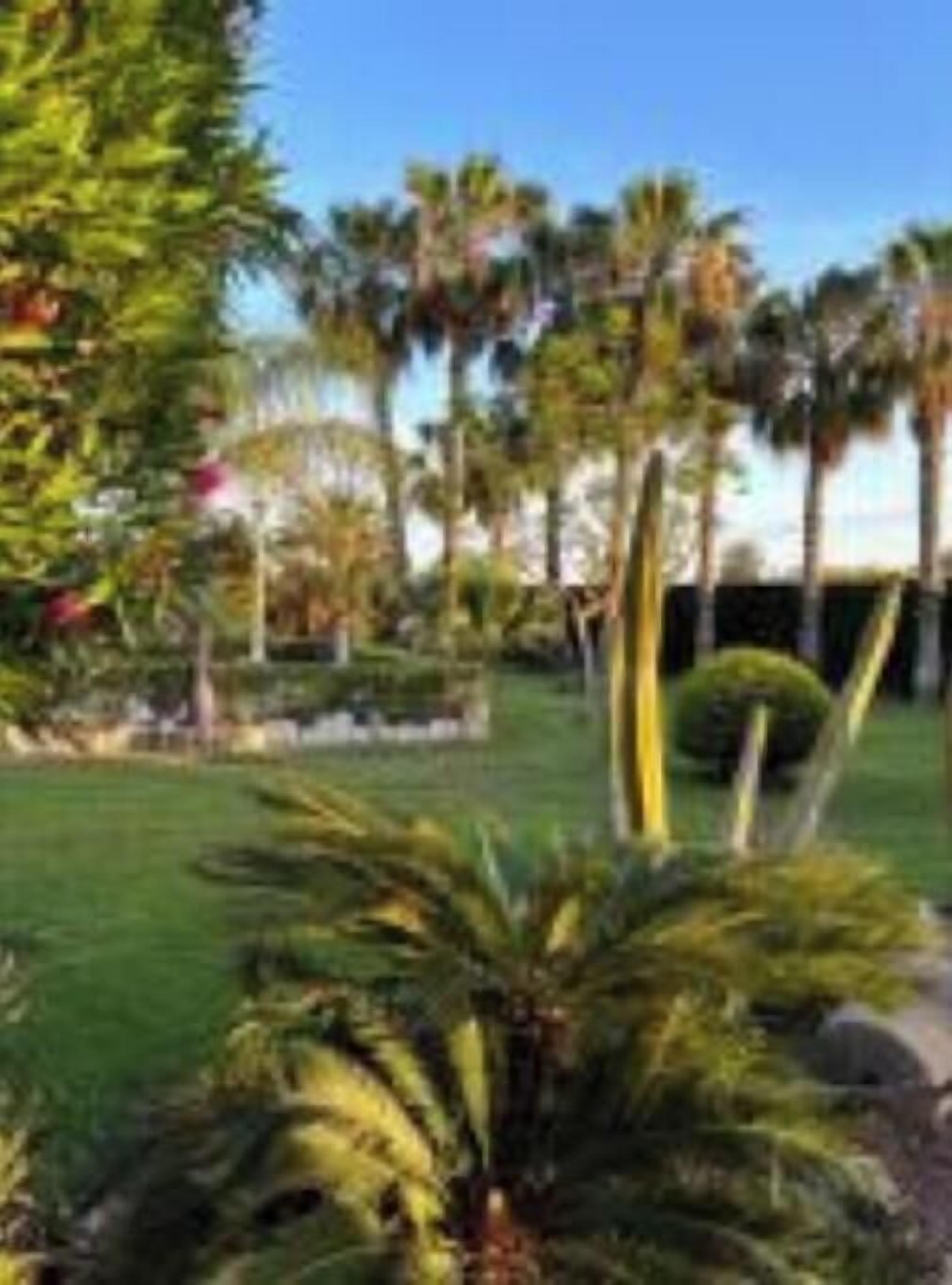 A well-maintained garden with palm trees and a variety of shrubs.