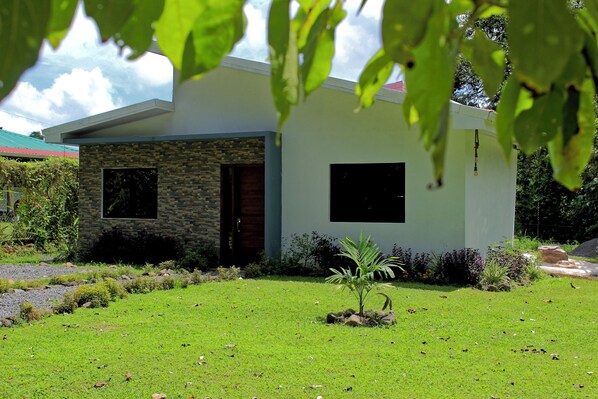 Une maison moderne avec une façade en pierre, deux fenêtres et un petit jardin agrémenté d’un palmier.