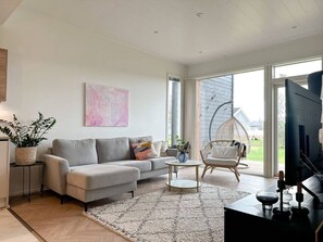 TV connectée, cheminée, chaîne hi-fi