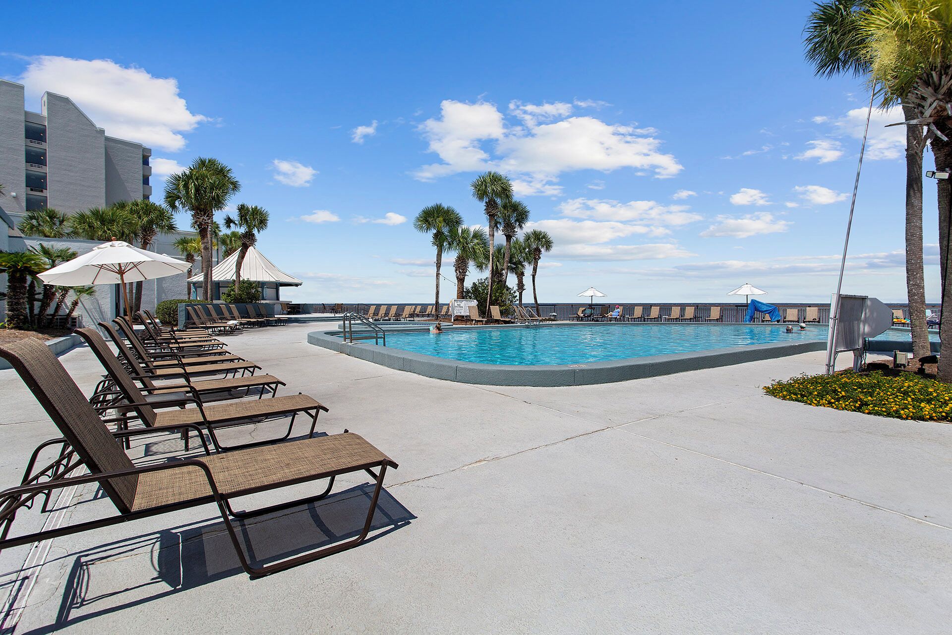 A poolside area with lounge chairs, umbrellas, and palm trees.