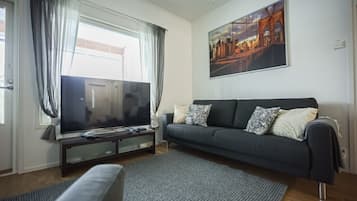 Smart TV, fireplace, video games, stereo