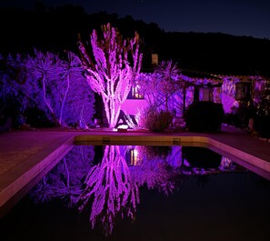 House | Pool | Outdoor pool - Cactus & Almonds Beautiful Holiday Hideaway (Lubrin)