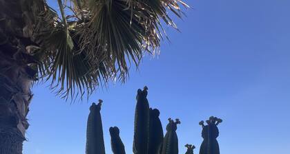 Cactus & Almonds Beautiful Holiday Hideaway