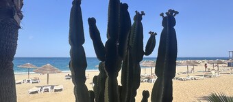 Cactus & Almonds Beautiful Holiday Hideaway