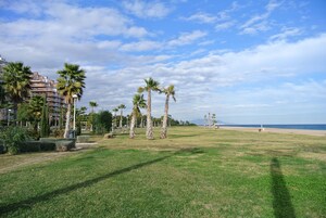 Un área verde con palmeras y una playa al fondo.
