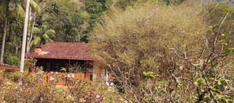 Cozy chalet in Lumiar to enjoy nature in the middle of the Atlantic Forest.