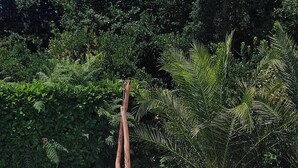 A rectangular swimming pool with clear blue water, surrounded by lush green foliage and a wooden structure. - This house is no longer available for rent (Moliets-et-Maa)