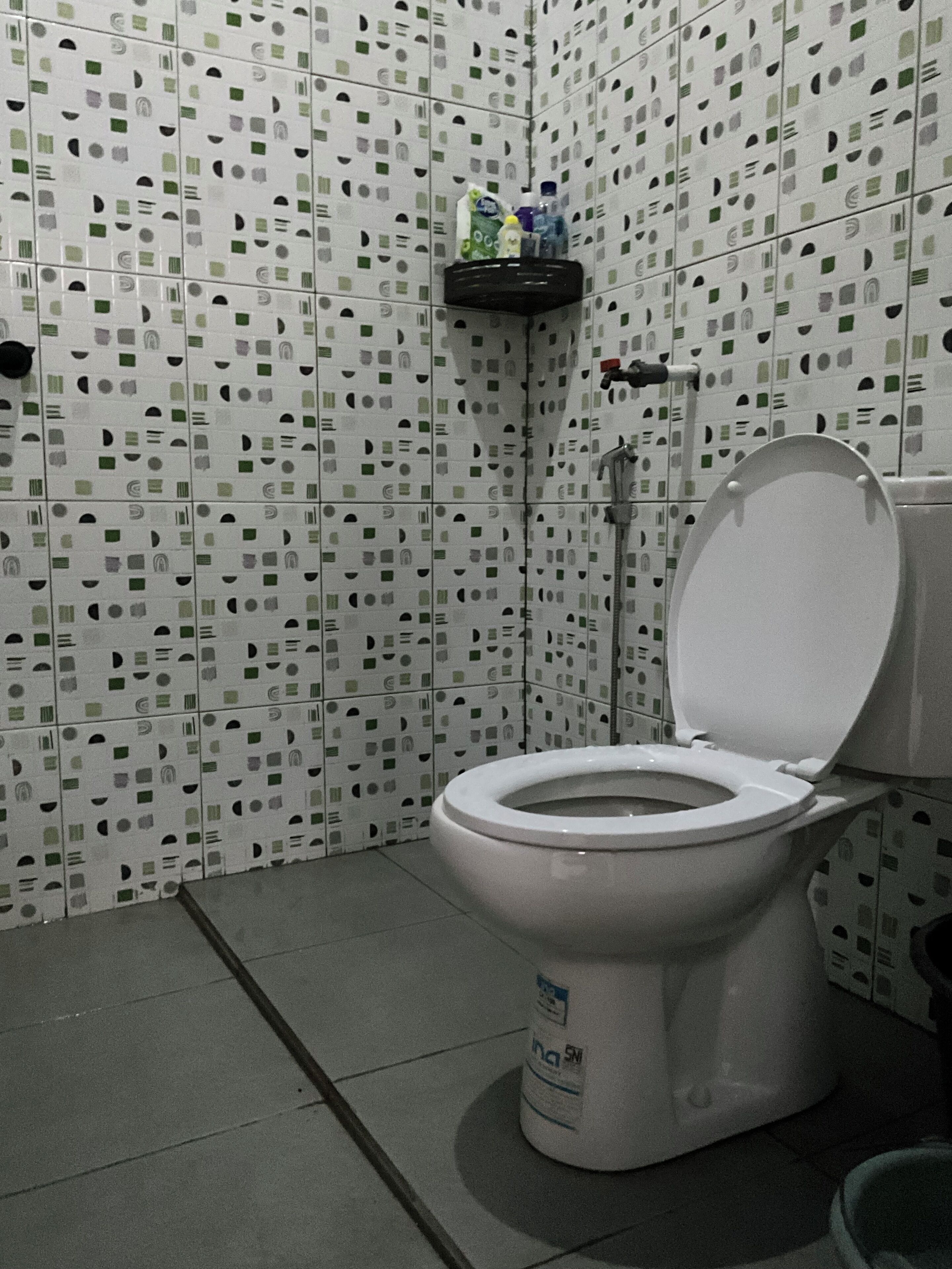 A bathroom with a toilet, a shelf with toiletries, and patterned tiles on the walls.