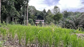 Mặt tiền nơi lưu trú