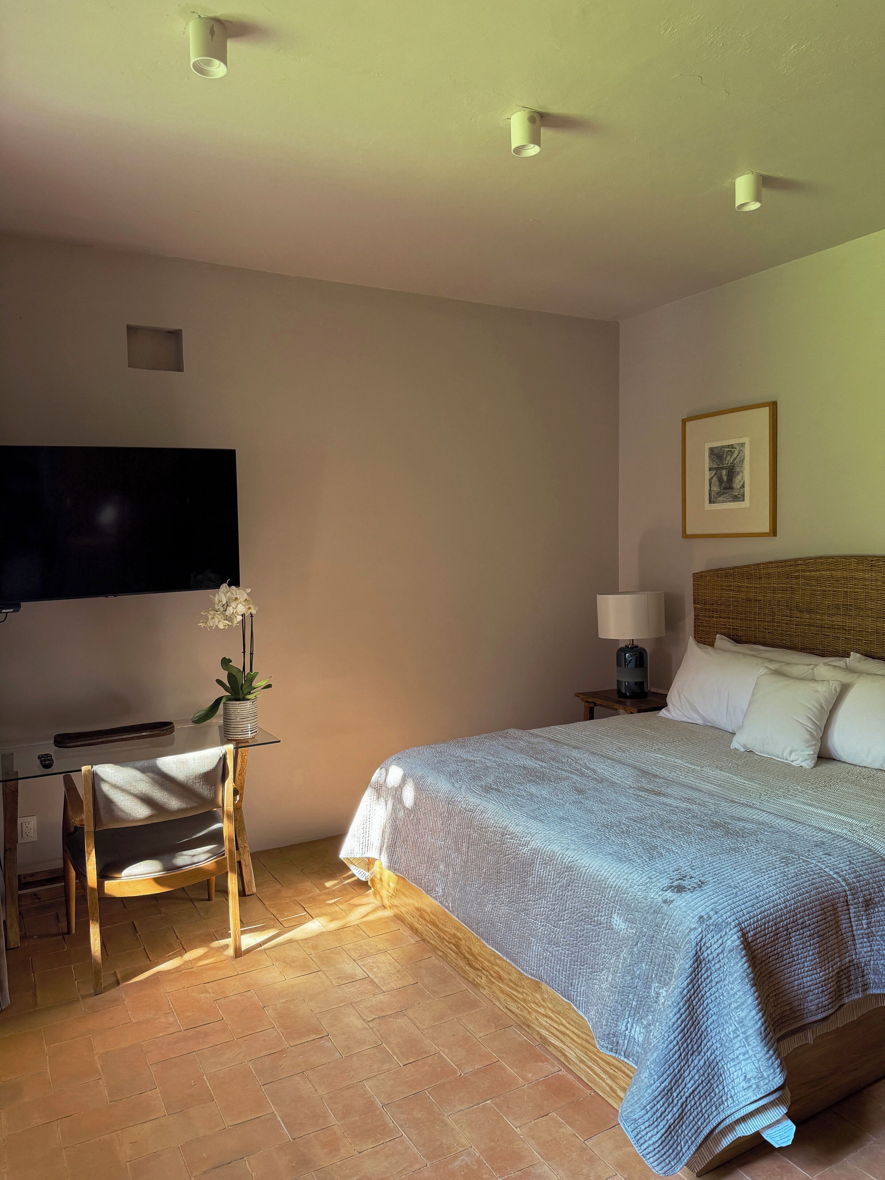 A bedroom with a bed, a desk, a chair, a TV, and a small plant.