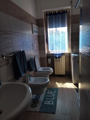 Hair dryer, towels, soap, toilet paper